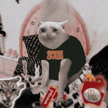 Cash Cat