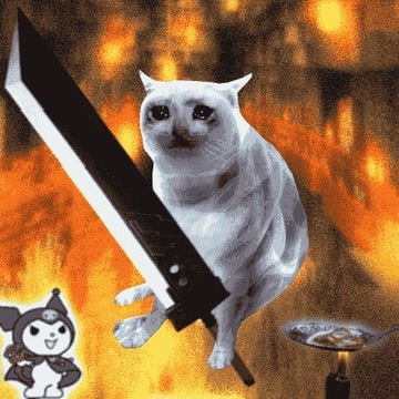 Cash Cat
