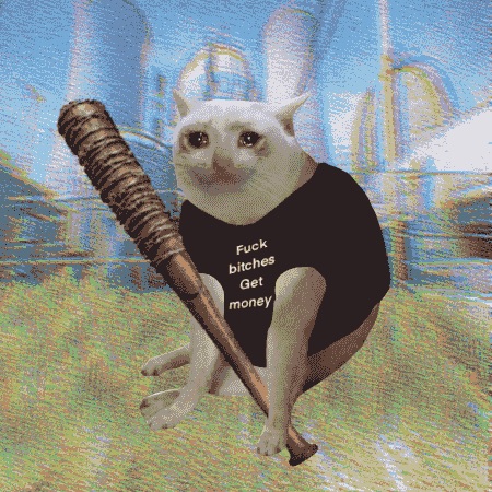 Cash Cat
