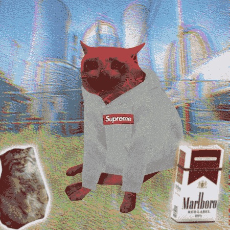 Cash Cat